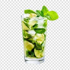 Lime and Mint Mojito
